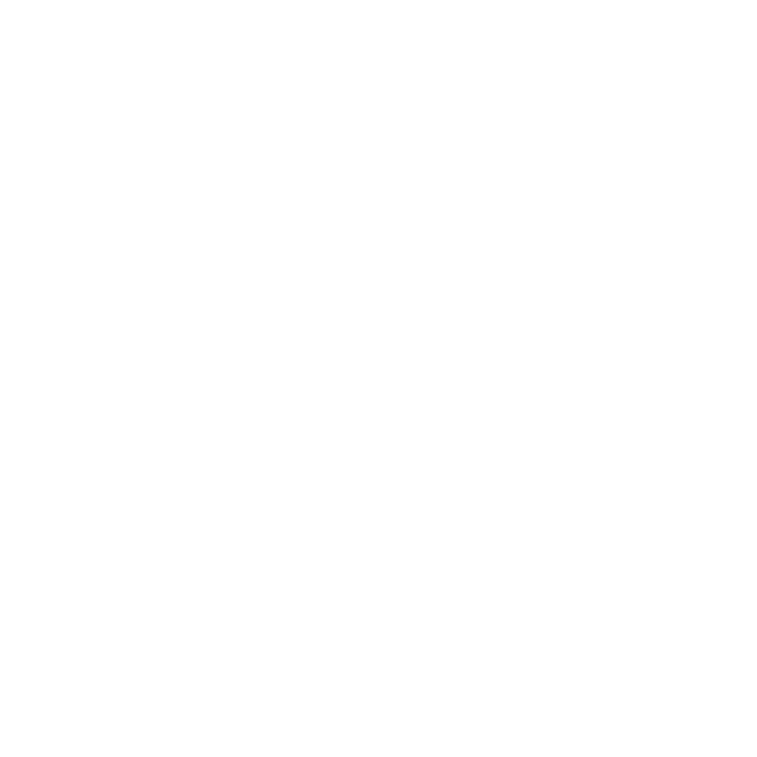 feature-item-2